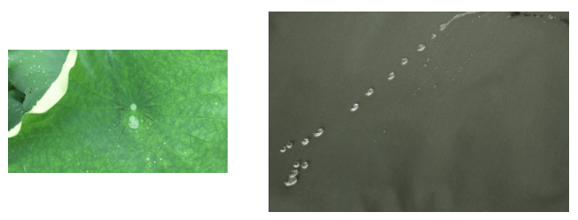 8868体育医用纺织