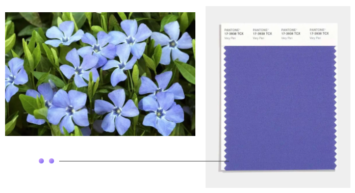 8868体育纺织面料