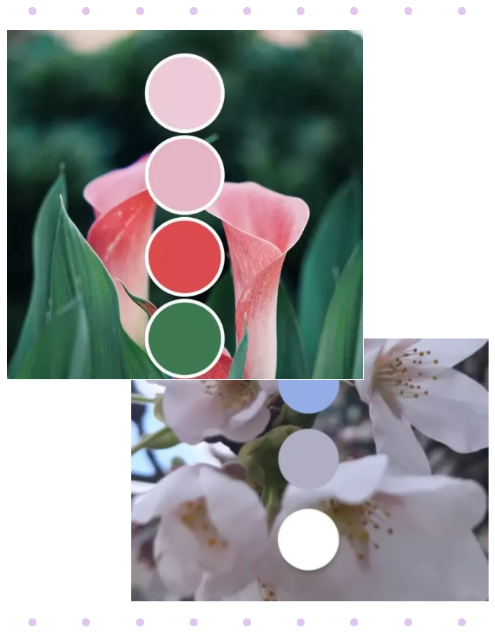 8868体育纺织面料